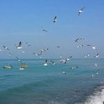 آرامش جوی و دریایی در هرمزگان تا اوایل هفته آینده ادامه دارد
