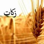 ۲۶ درصد افزایش پرداخت زکات در هرمزگان