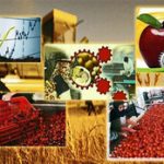 تداوم چرخه تولید در ۲۵۵ واحد صنایع تبدیلی کشاورزی هرمزگان